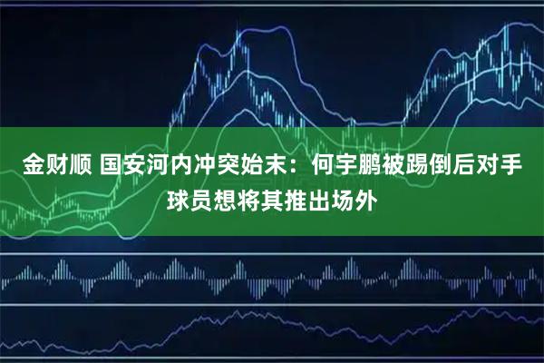 金财顺 国安河内冲突始末：何宇鹏被踢倒后对手球员想将其推出场外