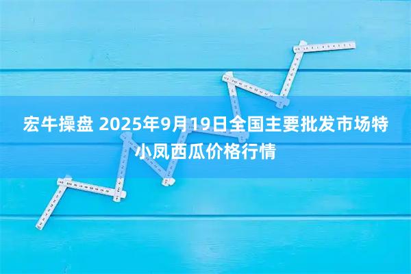 宏牛操盘 2025年9月19日全国主要批发市场特小凤西瓜价格行情