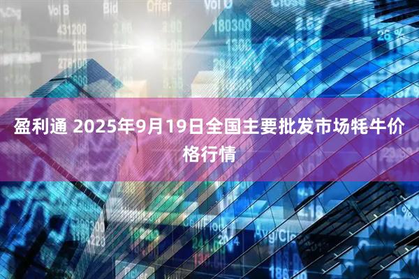 盈利通 2025年9月19日全国主要批发市场牦牛价格行情