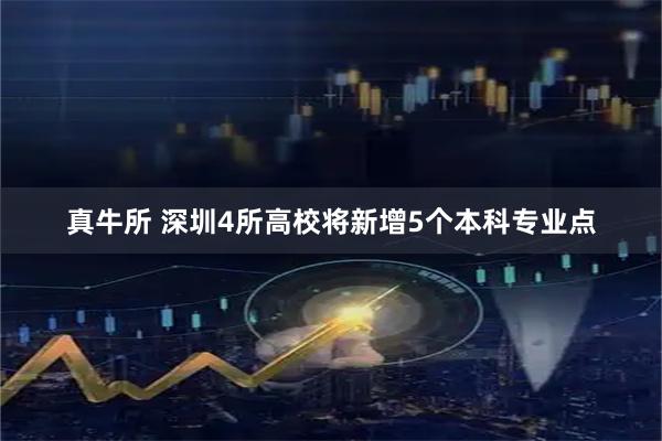 真牛所 深圳4所高校将新增5个本科专业点