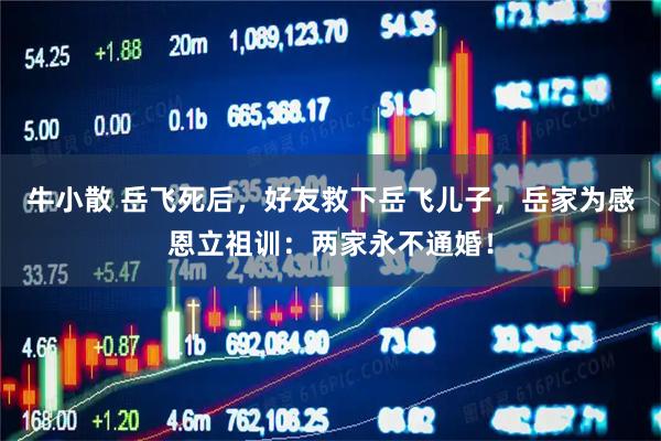 牛小散 岳飞死后，好友救下岳飞儿子，岳家为感恩立祖训：两家永不通婚！
