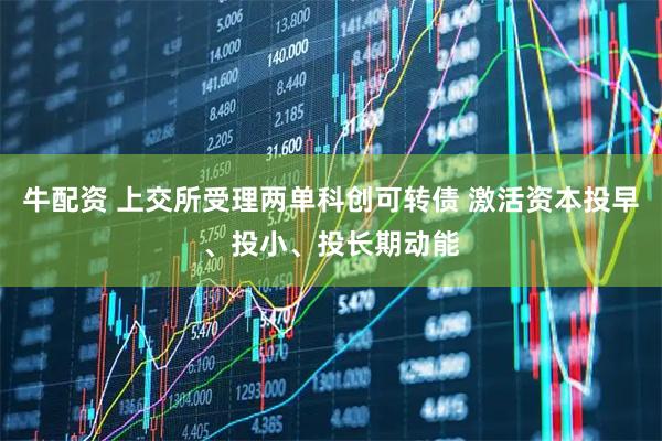 牛配资 上交所受理两单科创可转债 激活资本投早、投小、投长期动能