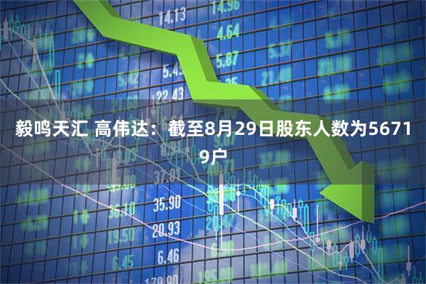 毅鸣天汇 高伟达：截至8月29日股东人数为56719户